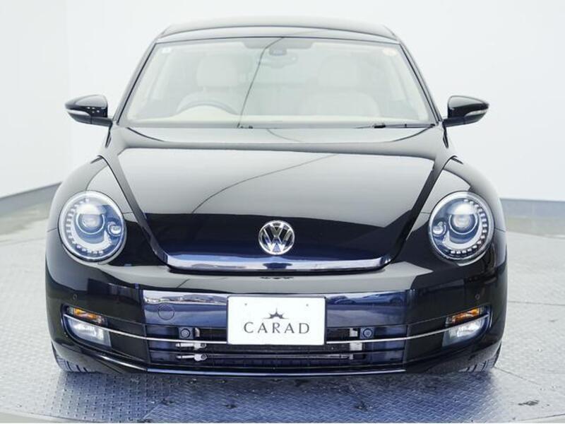 THE BEETLE