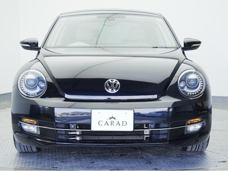 THE BEETLE
