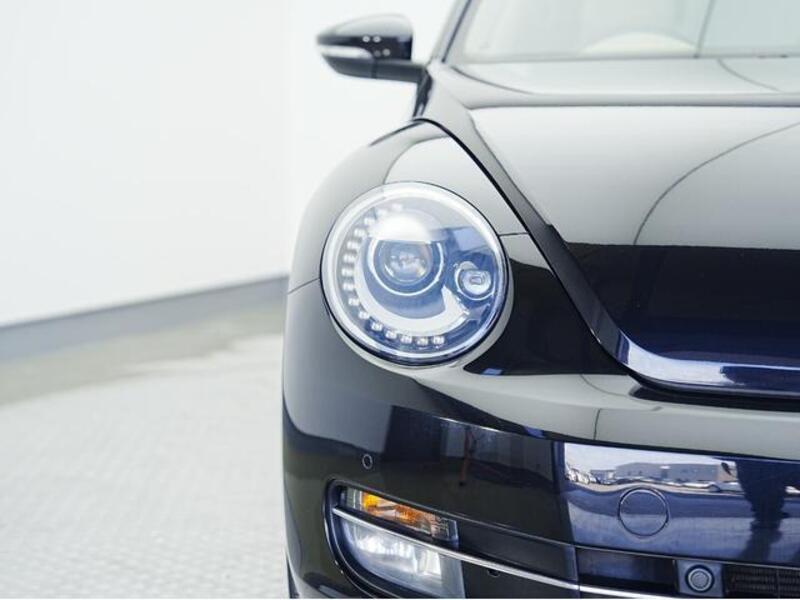 THE BEETLE