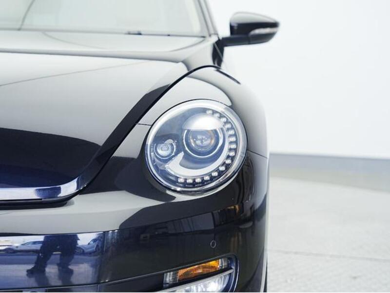 THE BEETLE
