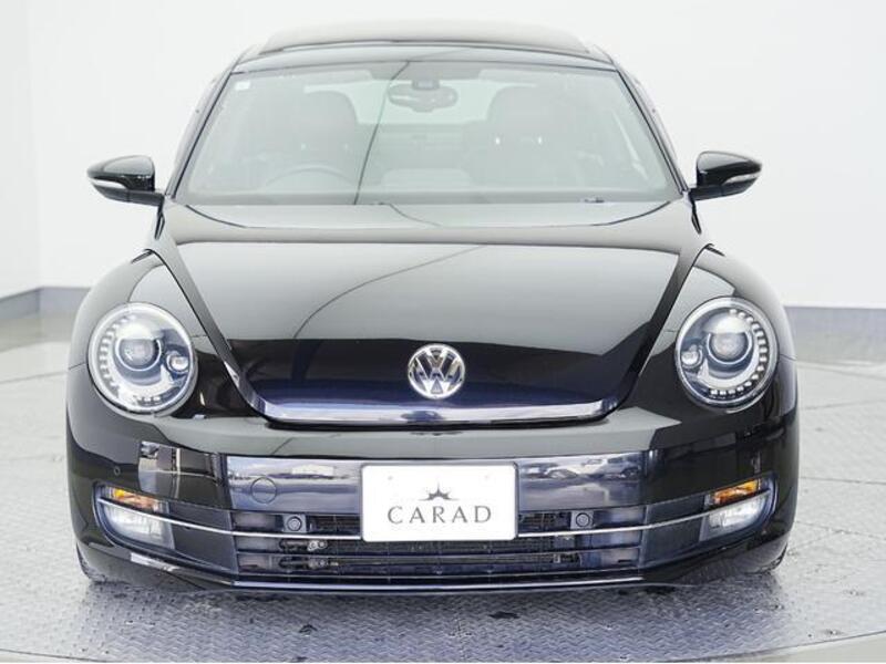 THE BEETLE