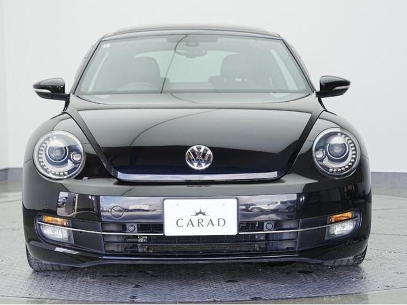 THE BEETLE
