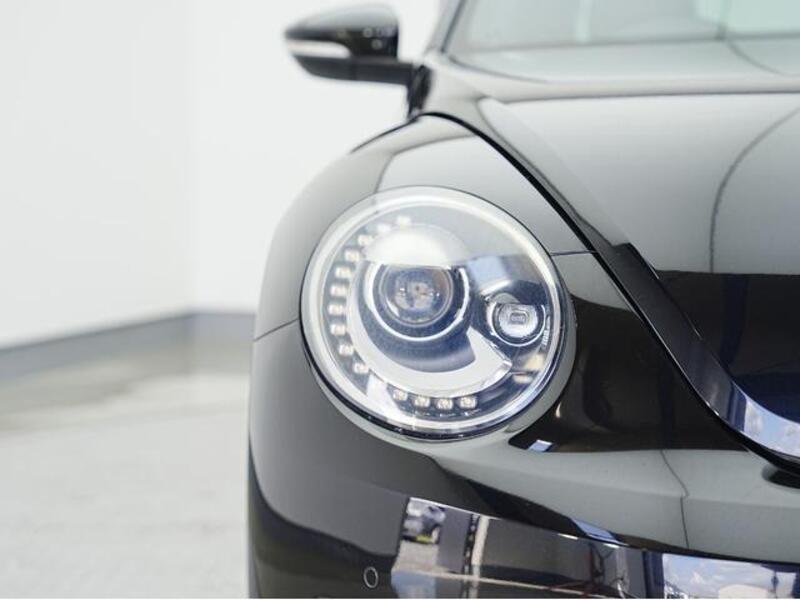 THE BEETLE