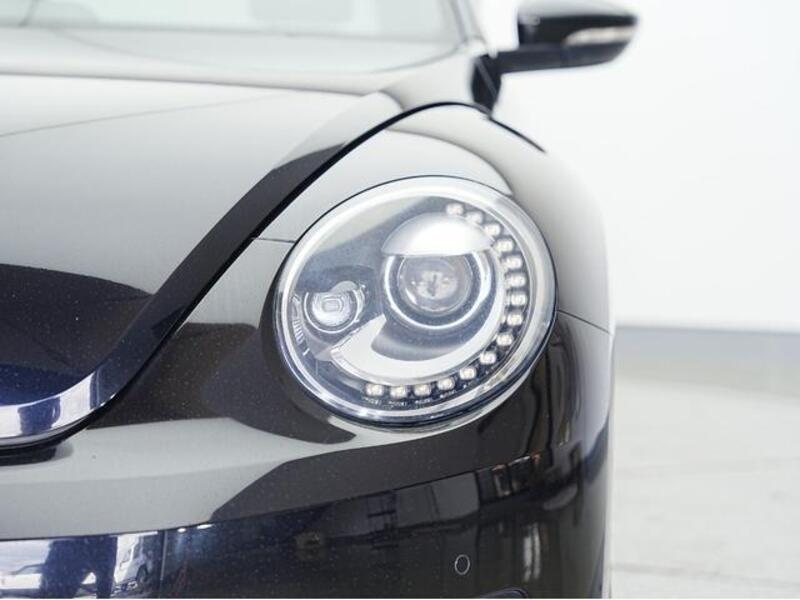 THE BEETLE