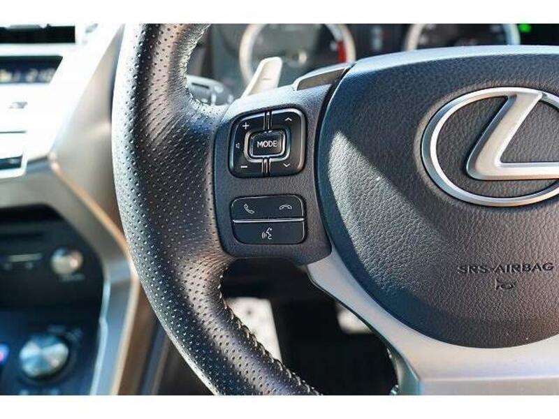 NX