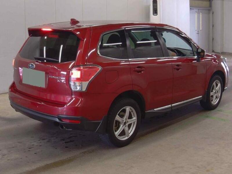 FORESTER