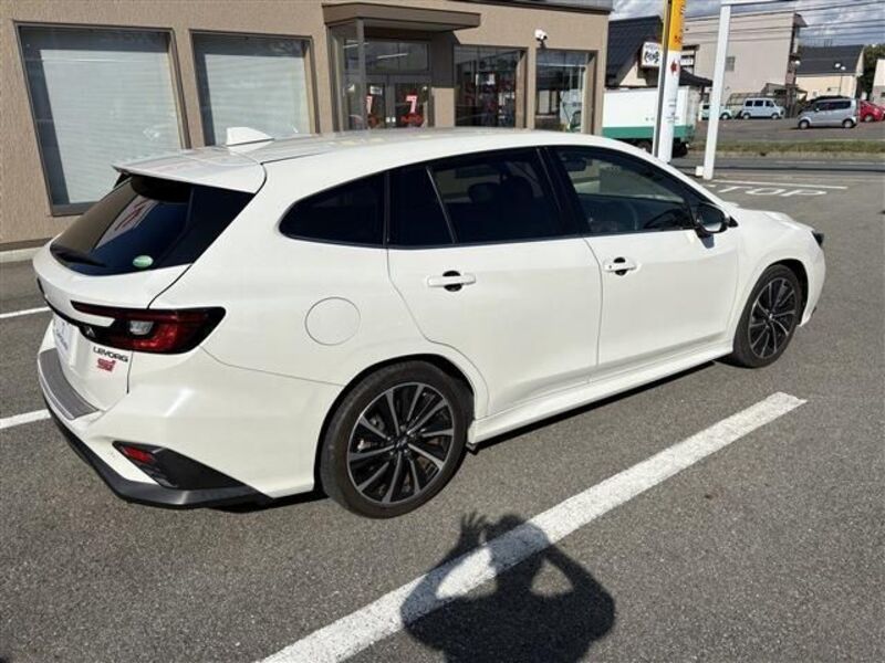 LEVORG