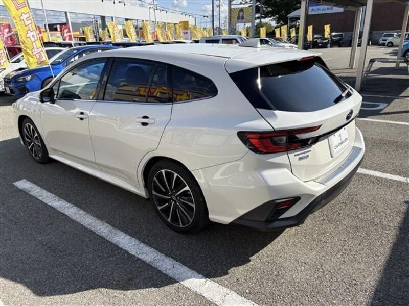 LEVORG