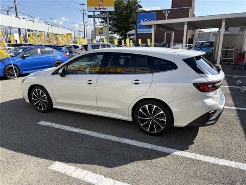LEVORG