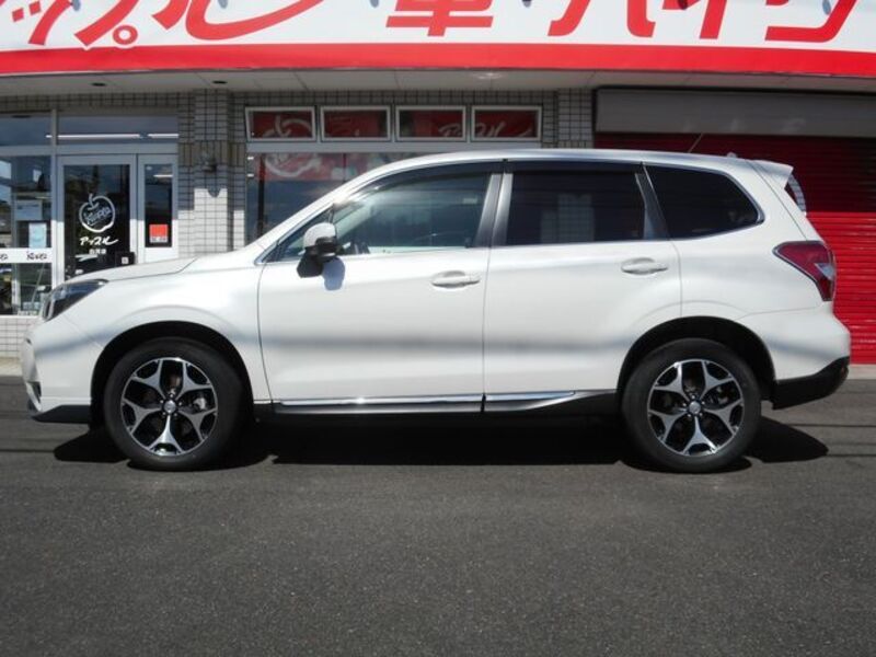 FORESTER