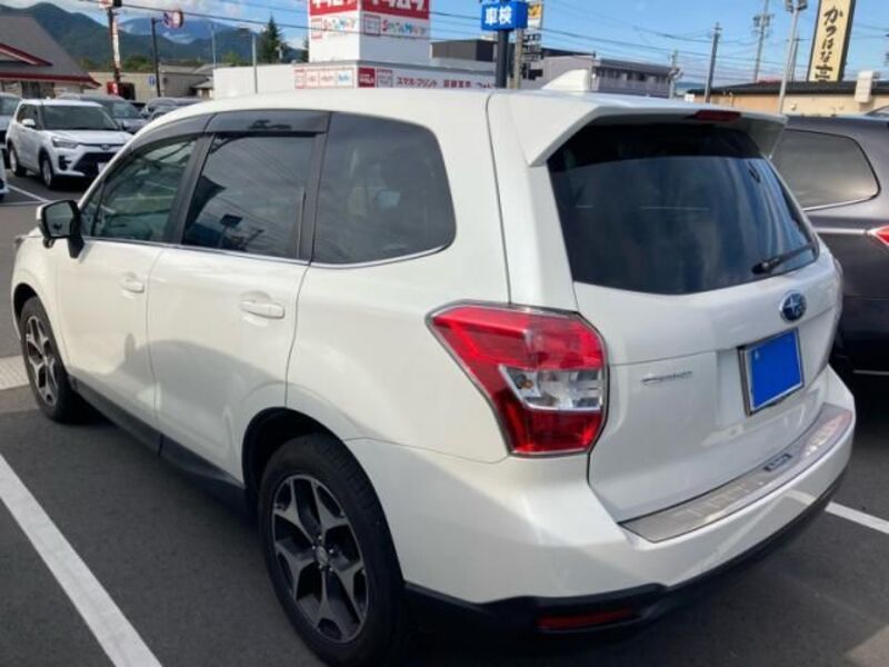 FORESTER