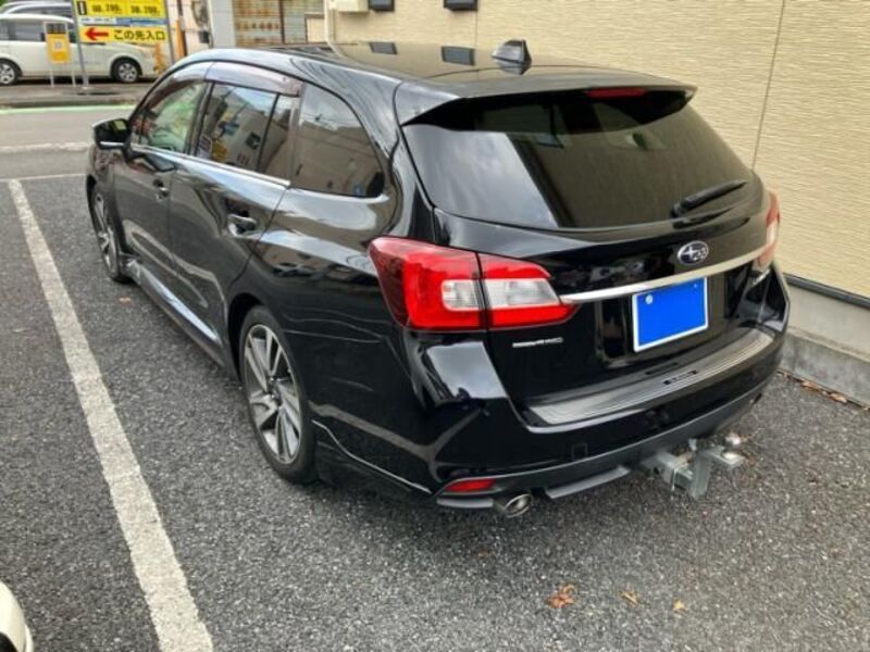 LEVORG