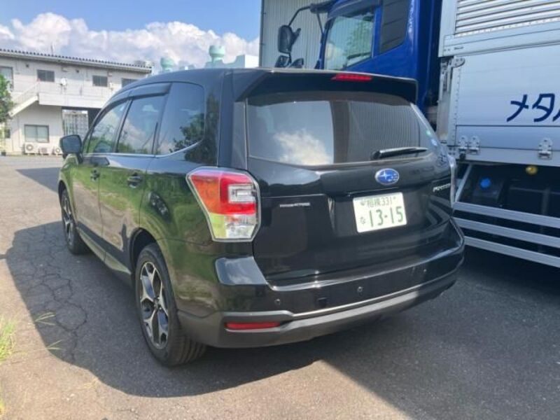 FORESTER