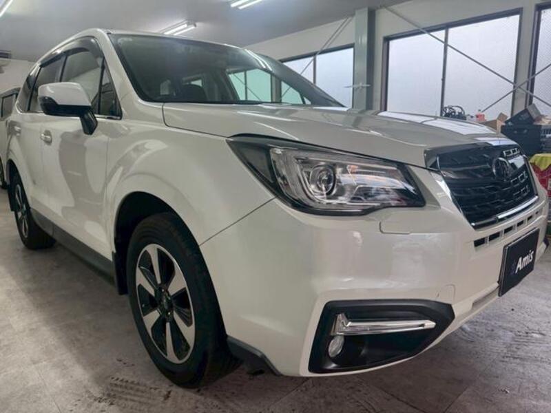 FORESTER