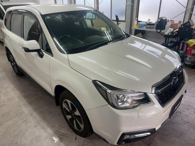 FORESTER