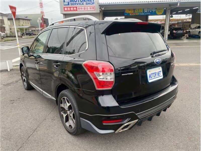 FORESTER