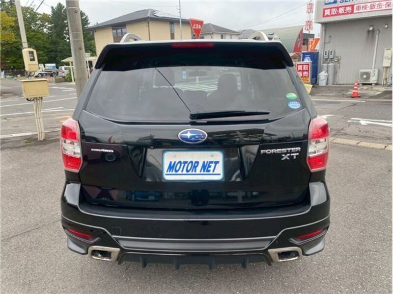 FORESTER