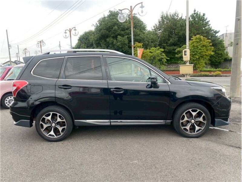 FORESTER