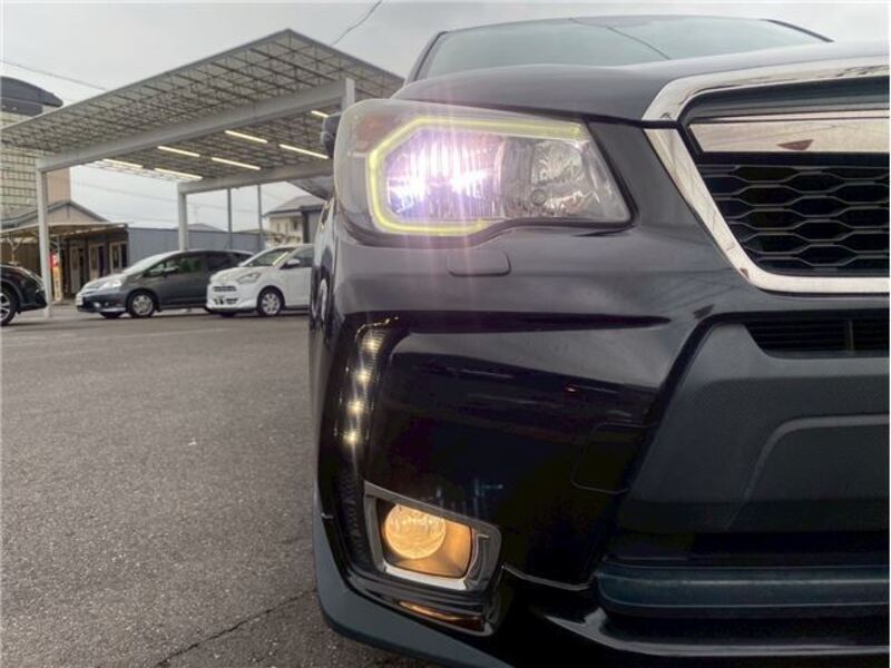 FORESTER