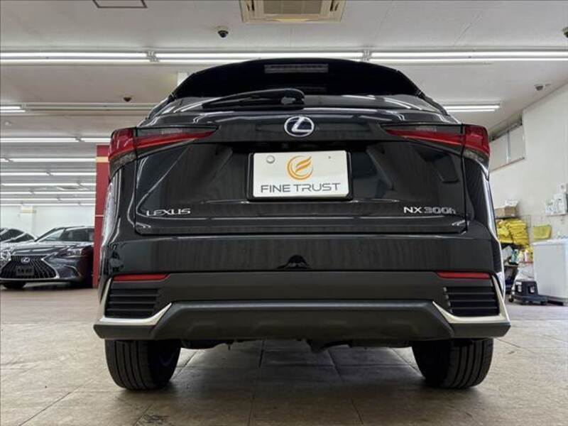 NX