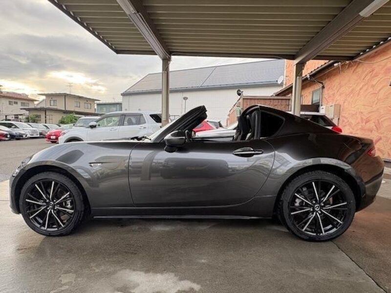 ROADSTER RF