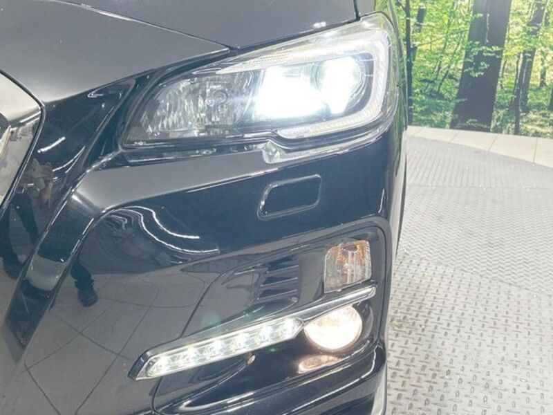 LEVORG