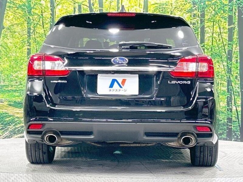 LEVORG