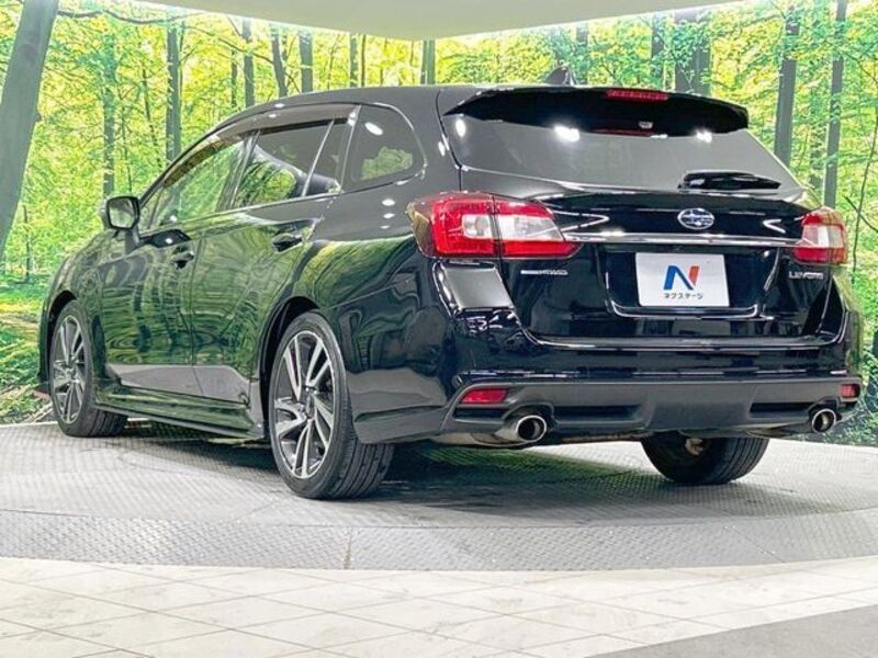 LEVORG
