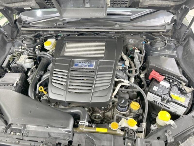 LEVORG