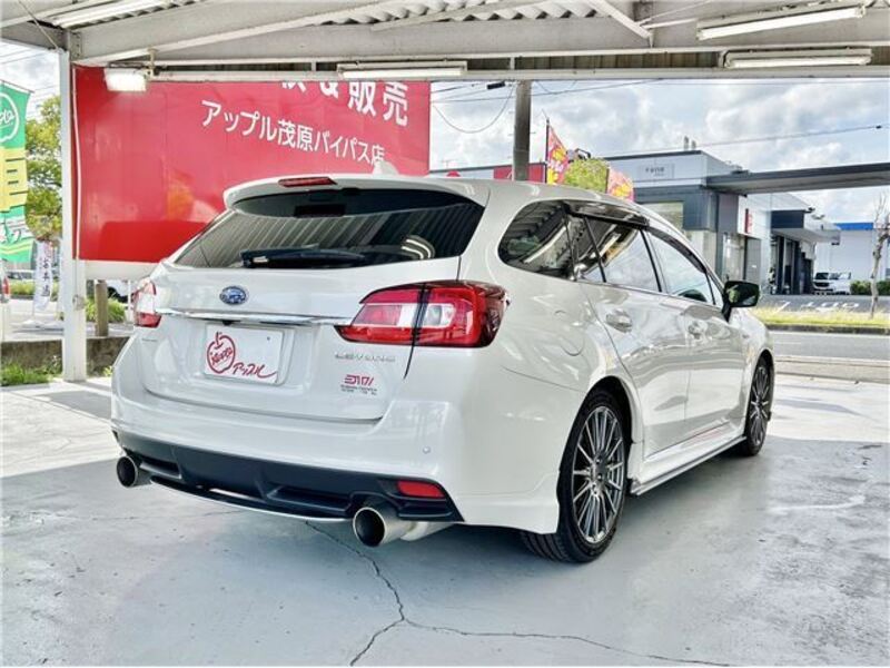 LEVORG