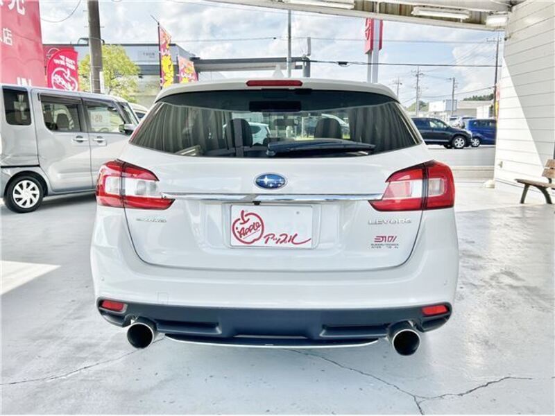 LEVORG