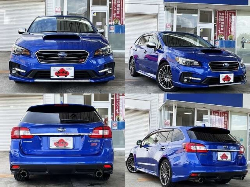 LEVORG