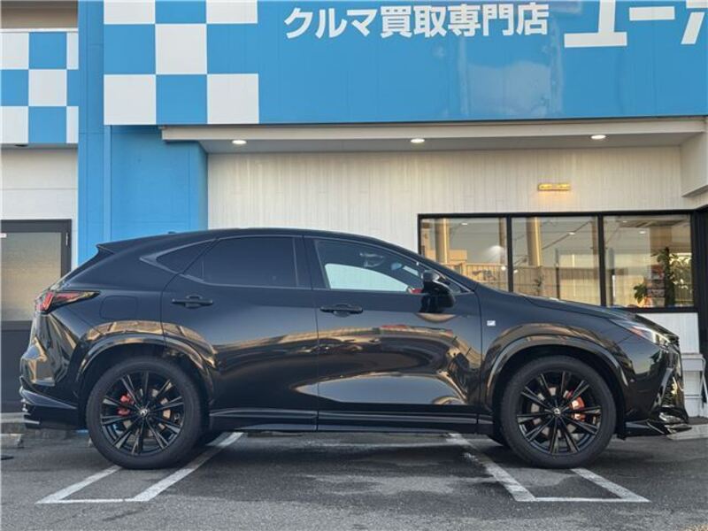 NX
