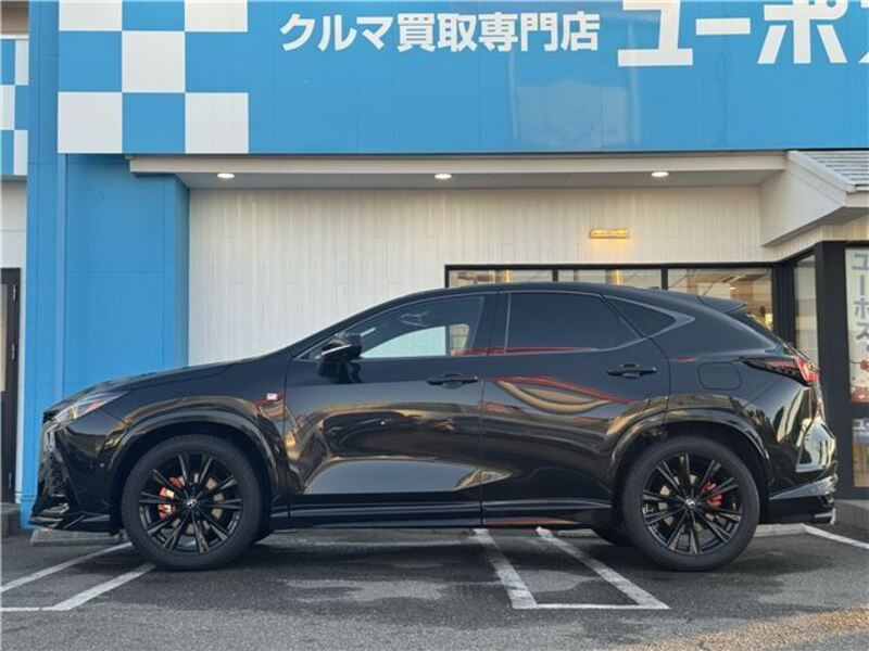 NX