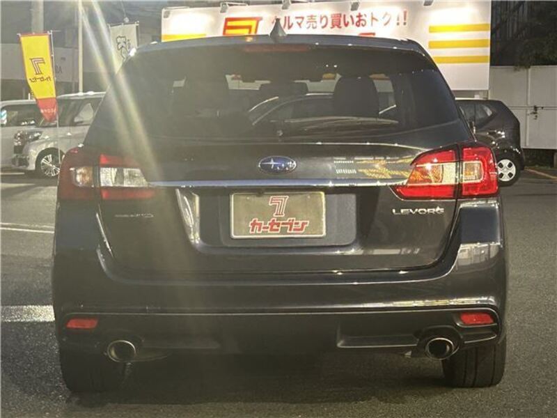 LEVORG