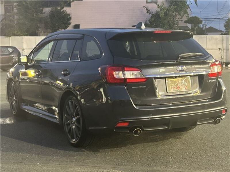 LEVORG