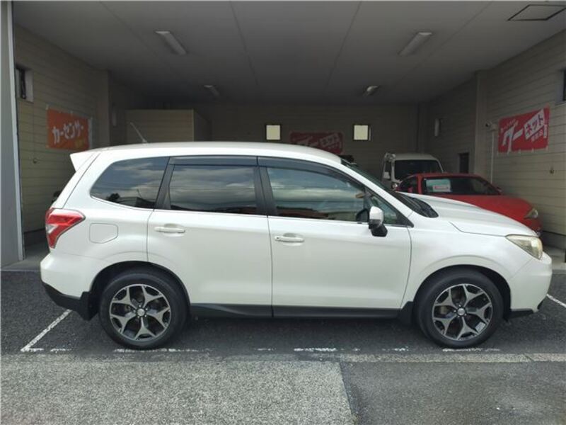 FORESTER