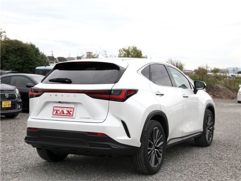 NX