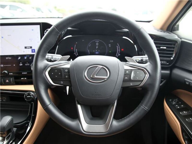 NX