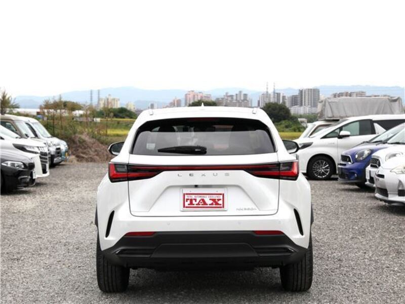 NX
