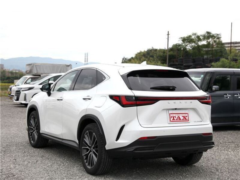 NX