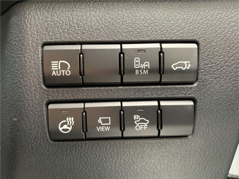 NX