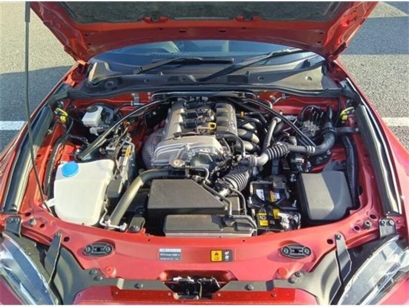 ROADSTER RF