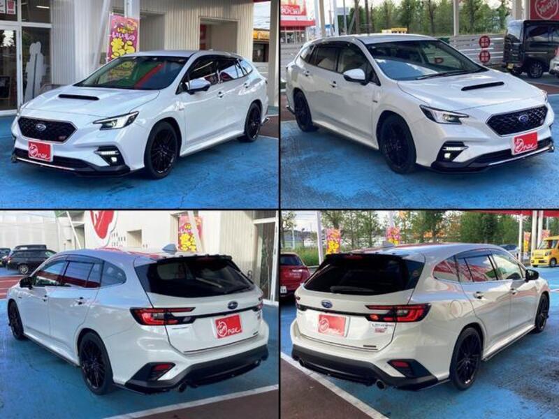LEVORG