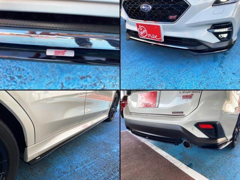 LEVORG