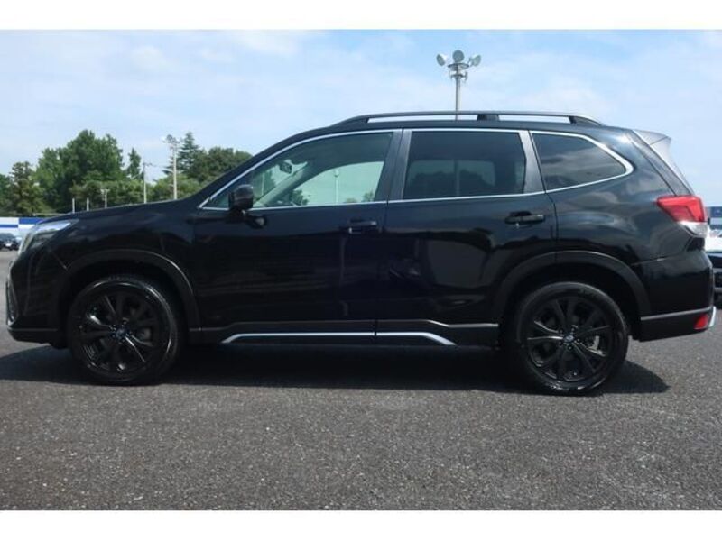 FORESTER