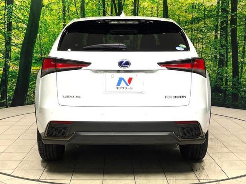 NX