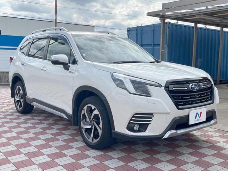 FORESTER
