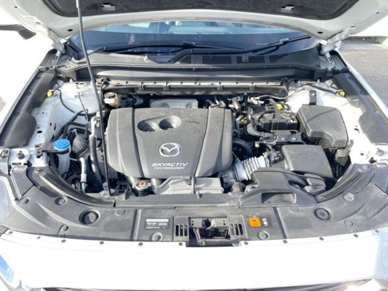 CX-8