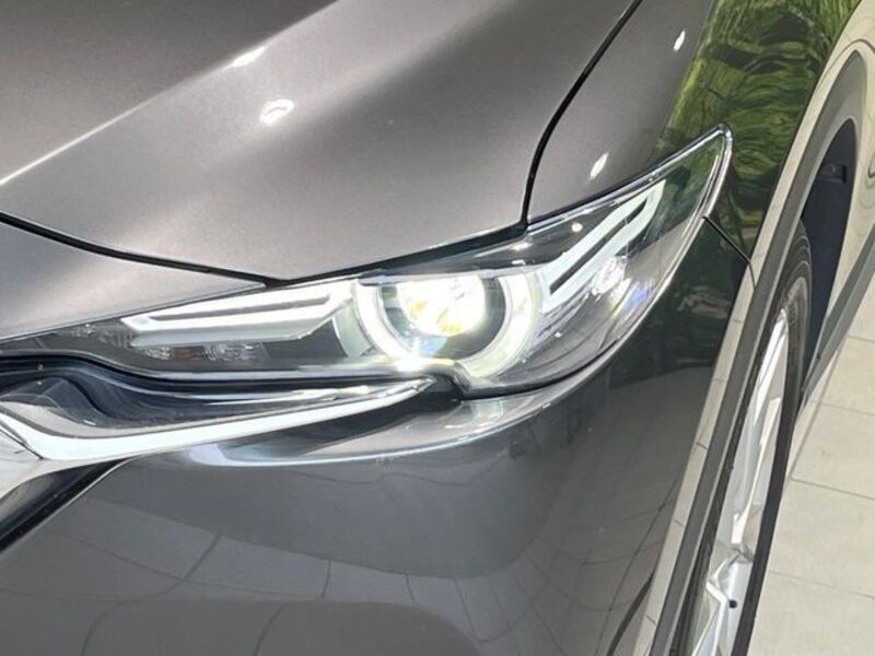 CX-8